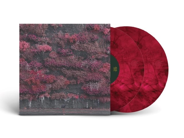 Vinyl & CD for Sale | Buy Rare & Valuable Music Vinyl